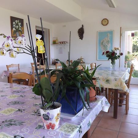 Chambre D Hotes Chez Raymonde Et Sandrine Luri エクステリア 写真